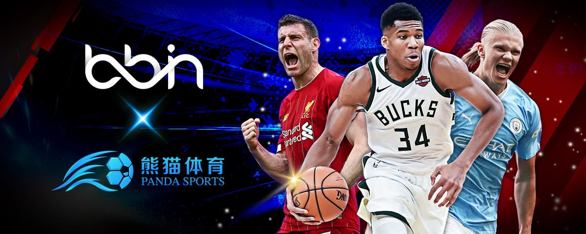 合的表现添